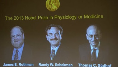 Chân dung 3 nhà khoa học nhận giải Nobel y học 2013